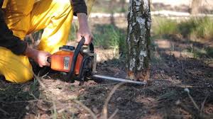 Lawn Grading and Leveling in Northfield, MN